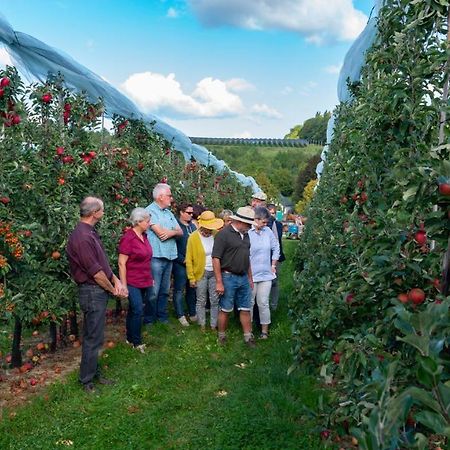 Vakantie Oord Zonnehoeve Valkenburg aan de Geul Kültér fotó