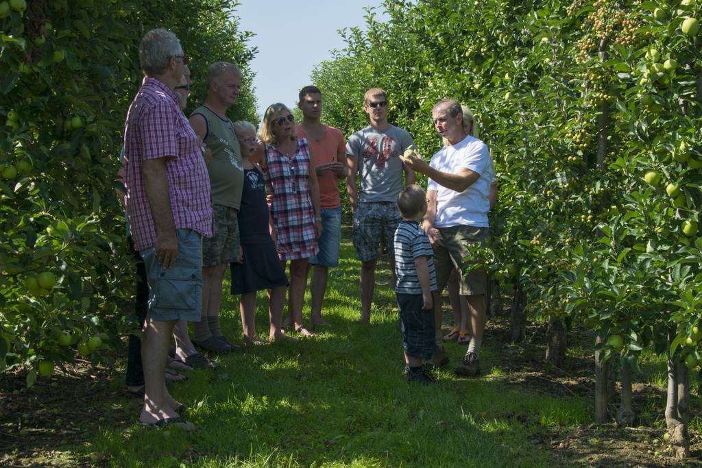 Vakantie Oord Zonnehoeve Valkenburg aan de Geul Kültér fotó
