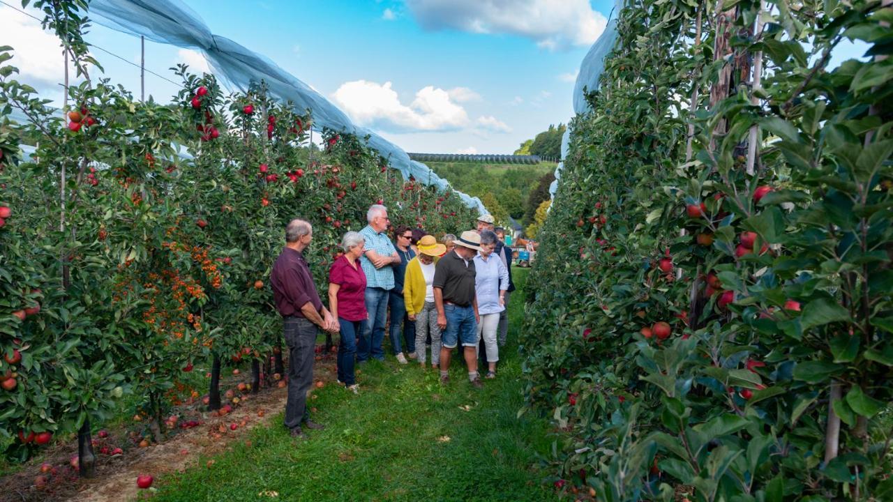 Vakantie Oord Zonnehoeve Valkenburg aan de Geul Kültér fotó